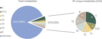 Metabolome Integrated Analysis of High-Temperature Response in Pinus radiata